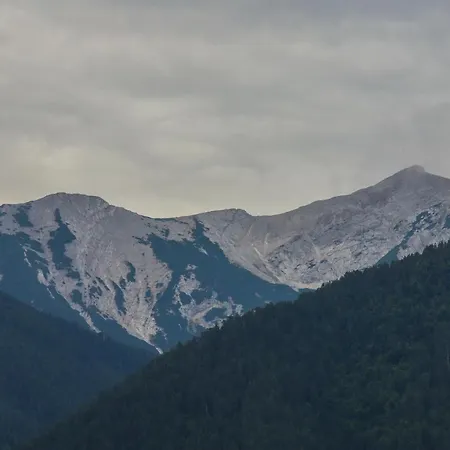 Луксозна вила Mountain Hawk Park *
