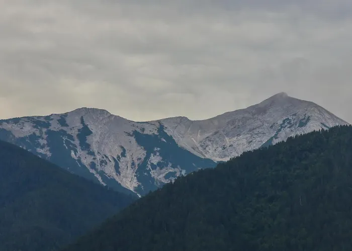 别墅 Mountain Hawk Park *